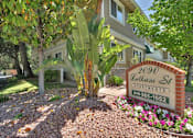 Thumbnail 1 of 21 - a sign in front of a house with a palm tree