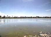 Thumbnail 7 of 26 - a body of water with a city in the background