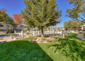 Thumbnail 12 of 103 - Courtyard With Green Space at Balboa, California, 94086