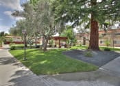 Thumbnail 34 of 80 - Courtyard With Mature Trees at Casa Alberta Apartments, Sunnyvale, CA