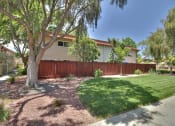 Thumbnail 45 of 80 - Lush Green Courtyard Wit Walking Paths at Casa Alberta Apartments, Sunnyvale, CA