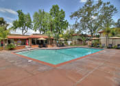 Thumbnail 6 of 80 - Swimming Pool at Casa Alberta Apartments, California, 94087