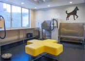 Thumbnail 22 of 38 - Pet Station and Grooming Spa at The Blairs, Silver Spring, MD