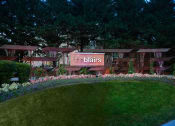 Thumbnail 25 of 38 - Beautiful Planter Combinations at The Blairs, Maryland, 20910