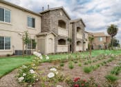 Thumbnail 10 of 13 - The Grove Apartments Landscaping in Lemoore