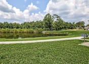 Thumbnail 8 of 31 - Pond