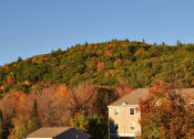 Thumbnail 19 of 20 - Beautiful Surroundings at Stonefarm Apartments, Lebanon, NH, 03766