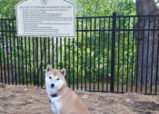Thumbnail 16 of 20 - Pet Friendly Community at Stonefarm Apartments, Lebanon