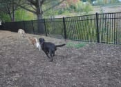 Thumbnail 17 of 20 - Pets Safe Community at Stonefarm Apartments, New Hampshire