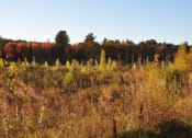 Thumbnail 20 of 20 - Beautiful Outdoor Space at Stonefarm Apartments, New Hampshire, 03766
