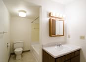 Thumbnail 15 of 18 - Bathroom at Sycamore apartments in Holt, MI