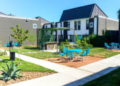 Thumbnail 8 of 21 - Beautiful Planter Combinations at Mesh Properties, Austin, Texas