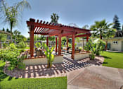 Thumbnail 8 of 17 - A patio with a pergola and a cactus.