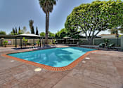 Thumbnail 11 of 17 - A pool surrounded by trees and a patio area.
