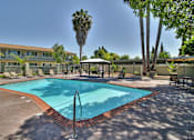 Thumbnail 13 of 17 - A swimming pool surrounded by palm trees and lounge chairs.