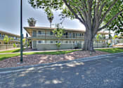 Thumbnail 2 of 17 - A tree in front of a building with a street in front of it.