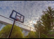Thumbnail 10 of 25