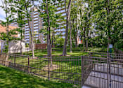 Thumbnail 7 of 43 - Dog park