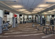 Thumbnail 20 of 23 - 24/7 Fitness Center and Gym with Free Weights at Fort Collins Apartments for Rent