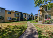 Thumbnail 23 of 31 - Buildings backyard at Commons at Hawthorn Village Apartments, Hillsboro, Oregon