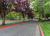 Thumbnail 1 of 30 - Street at Commons at Creekside Apartments, Hillsboro, 97123