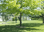 Thumbnail 7 of 8 - Nature in Chambersburg, PA | Hamilton Park Apartments | Property Management, Inc.