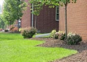 Thumbnail 11 of 16 - A tree in front of a red brick building.