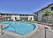 Thumbnail 4 of 14 - Sunnyvale Apartment Pool