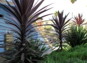 Thumbnail 15 of 19