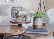 Thumbnail 13 of 15 - Home Decor at Parkwood, Texas