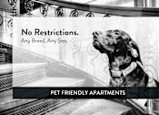 Thumbnail 5 of 39 - 225 Place Apartments Pet Friendly, No Breed Restrictions, Minneapolis, Minnesota