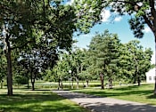 Thumbnail 27 of 39 - Loring Park Minneapolis