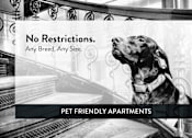 Thumbnail 14 of 20 - Minnehaha Apartments pet friendly, Minneapolis, Minnesota