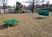 Thumbnail 11 of 23 - Dog Park Obstacles