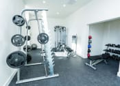 Thumbnail 7 of 26 - The Seaboard Building in Portsmouth VA weight room