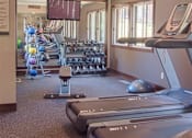 Thumbnail 8 of 67 - Free Weights