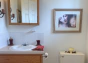 Thumbnail 12 of 17 - Bathroom at Dannybrook Apartments, Williamsville, NY, 14221