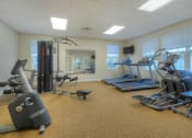 Thumbnail 17 of 18 - Fitness Center Access at Collett Woods Townhouses, Farmington, 14425