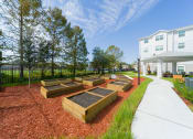 Thumbnail 5 of 20 - Mary Eaves Gardens