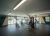 Thumbnail 10 of 29 - Lofts at LaVilla | Jacksonville, FL | Fitness Center