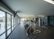 Thumbnail 7 of 29 - Lofts at LaVilla | Jacksonville, FL | Fitness Center