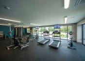 Thumbnail 8 of 29 - Lofts at LaVilla | Jacksonville, FL | Fitness Center