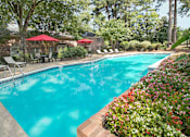 Thumbnail 3 of 13 - pool