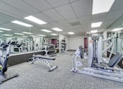 Thumbnail 45 of 59 - Free Weights in Gym at La Vista Terrace, California