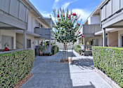 Thumbnail 26 of 28 - A tree with red flowers is in the middle of a courtyard between two buildings.