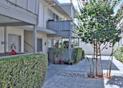 Thumbnail 27 of 28 - A tree with green leaves is planted in a concrete ground.