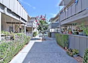 Thumbnail 28 of 28 - A sunny day at a residential complex with a pathway and greenery.