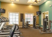 Thumbnail 12 of 55 - fitness center
