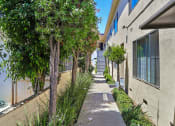 Thumbnail 15 of 16