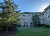 Thumbnail 1 of 17 - A sunny day at a residential apartment complex with a tree in the foreground.